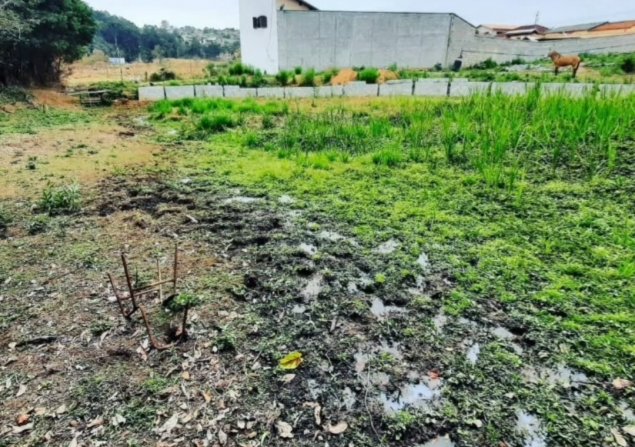 imóvel com 1800m²