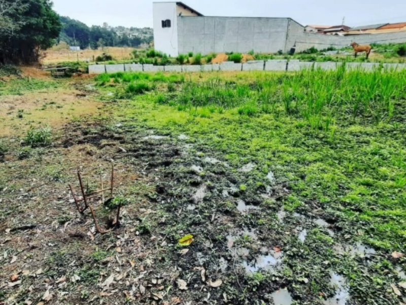 Terreno à venda Campininha (Canguera) com 1800m² e 1 quarto por R$ 300.000 - 274254363-screenshot-20210824-194628-instagram.jpg