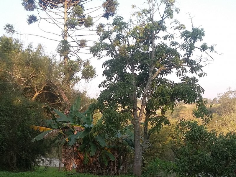 Chácara à venda Estância São Luís com 7485m² e 5 quartos por R$ 535.000 - 122888072-20150806-164936.jpg
