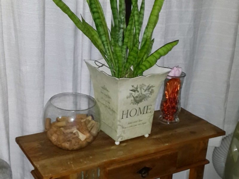 Apartamento à venda Vila Marari com 62m² e 2 quartos por R$ 280.000 - 1948244707-whatsapp-image-2021-11-01-at-15.jpeg