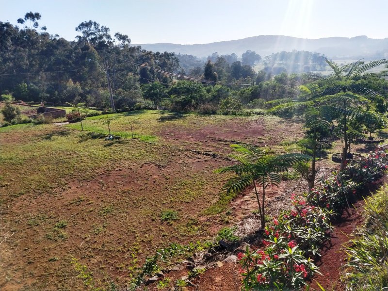 Terreno à venda Santa Rosa com 336m² e 1 quarto por R$ 147.000 - 865994349-vista.jpg