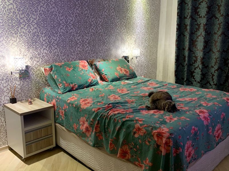 Casa de condomínio à venda Chácara Nossa Senhora do Bom Conselho com 280m² e 3 quartos por R$ 1.100.000 - 787732184-whatsapp-image-2021-11-02-at-18.jpeg