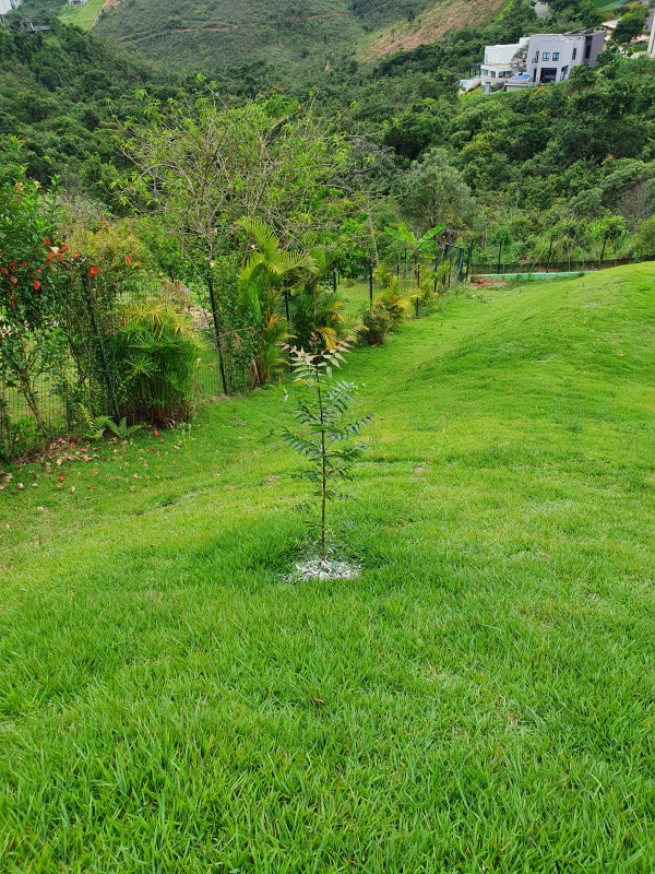 Casa de condomínio à venda Vale dos Cristais com 686m² e 5 quartos por R$ 100.000.000 - 1525643880-20210215-100600.jpg