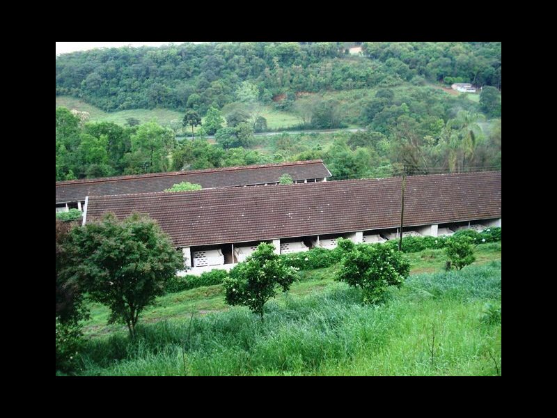 imóvel com 400000m² - Centro - Parai
