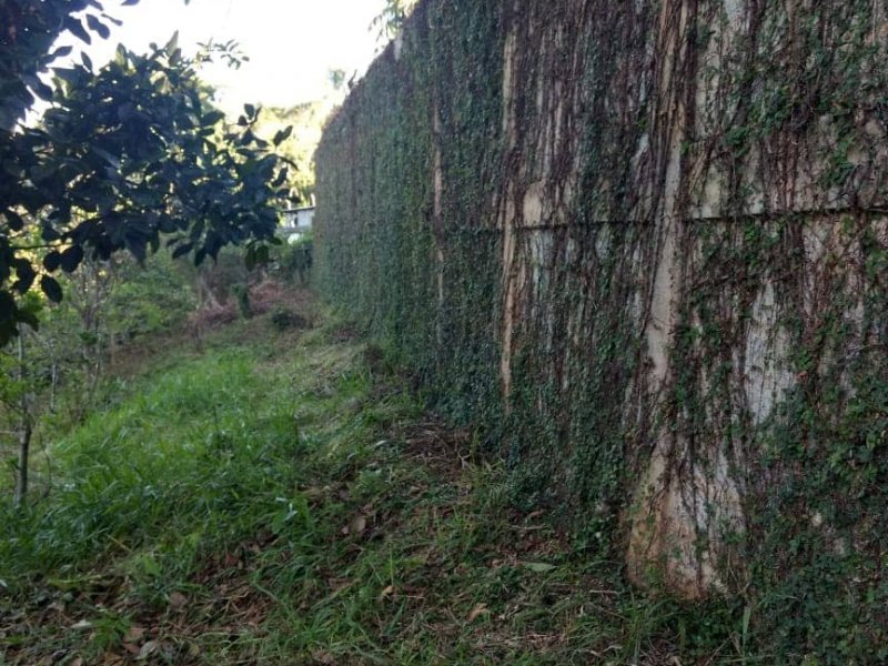 Chácara à venda Despézio com 254m² e 3 quartos por R$ 250.000 - 1502473806-foto1.jpg