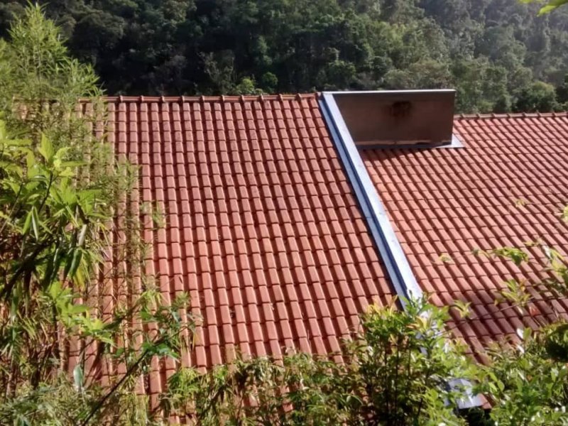 Chácara à venda Despézio com 254m² e 3 quartos por R$ 250.000 - 1848122357-foto-13.jpg