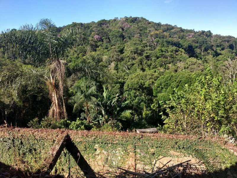 Chácara à venda Despézio com 254m² e 3 quartos por R$ 250.000 - 394538078-foto-5.jpg