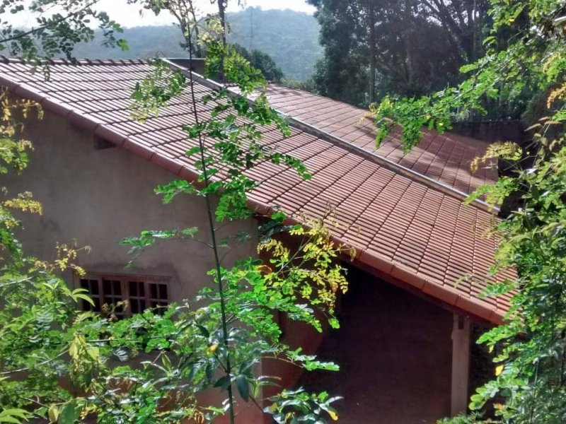 Chácara à venda Despézio com 254m² e 3 quartos por R$ 250.000 - 410802710-foto-12.jpg