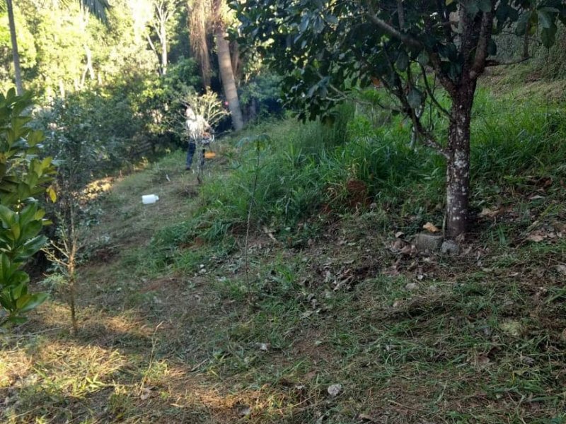 Chácara à venda Despézio com 254m² e 3 quartos por R$ 250.000 - 85514023-foto-2.jpg