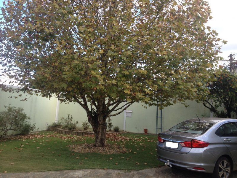 Casa à venda Parque Belvedere com 320m² e 4 quartos por R$ 1.150.000 - 1410357734-1.JPG