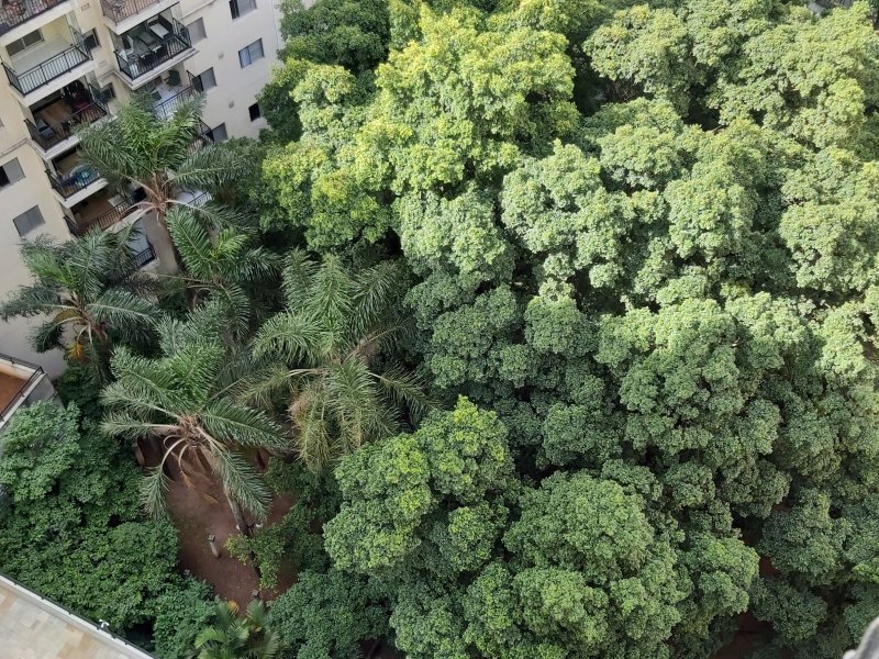 imóvel com 76m² - Picanço - Guarulhos