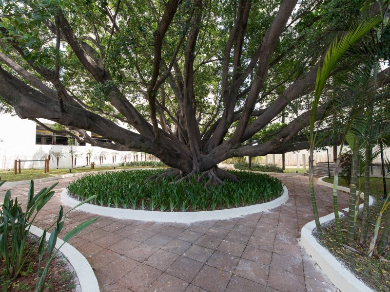 imóvel com 76m² - Picanço - Guarulhos