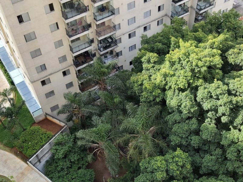 imóvel com 76m² - Picanço - Guarulhos