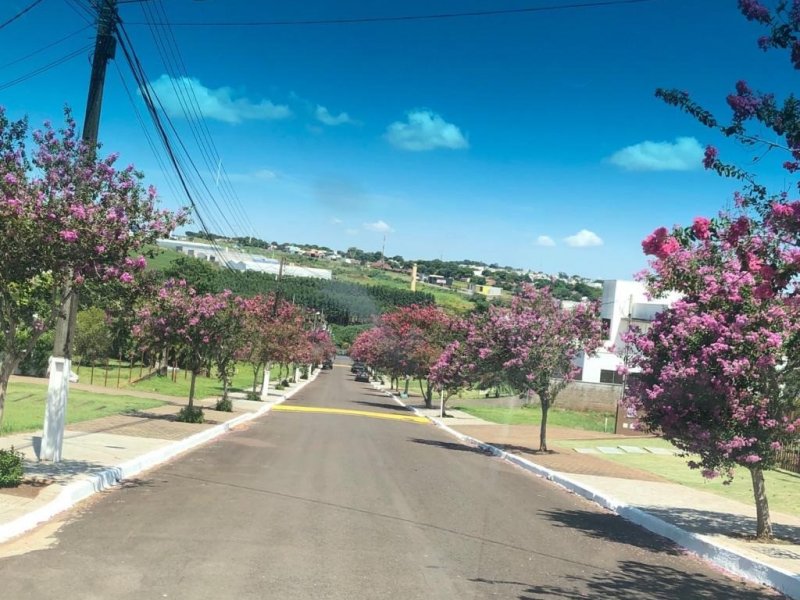 Terreno à venda Jardim São Paulo com 1277m² e 1 quarto por R$ 990.000 - 52390111-rua-interna-natal-41427.jpg