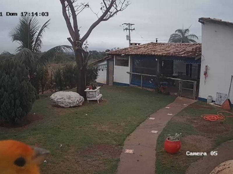 Sítio à venda Jardim Guanabara com 77000m² e 3 quartos por R$ 2.900.000 - 775819737-20211010171443010-ba80b10ff06143aca8439bd0c3dffb86-d70314290.jpg