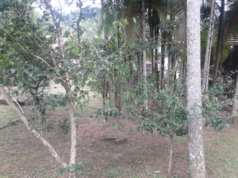 Chácara à venda Vila Itoupava com 2900m² e 3 quartos por R$ 620 - 1447879121-20190410-092853.jpg