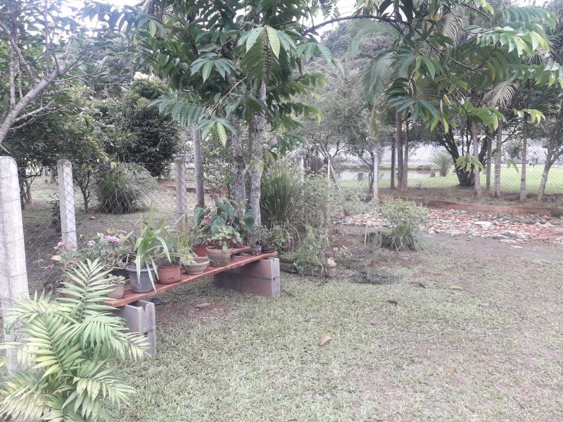 Chácara à venda Vila Itoupava com 2900m² e 3 quartos por R$ 620 - 229463109-20190410-093008.jpg