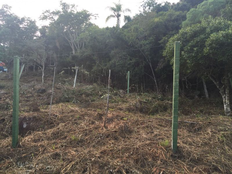 Terreno à venda Sambaqui com 27000m² e 1 quarto por R$ 4.900.000 - 1291553426-c80f7339-7775-4a33-aa47-4e98693206ca.jpeg
