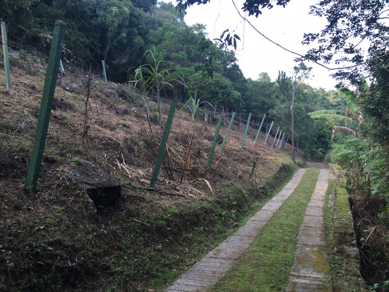 Terreno à venda Sambaqui com 27000m² e 1 quarto por R$ 4.900.000 - 1810932684-38e4ebfe-87d0-4d4b-85a2-64a2351dc030.jpeg