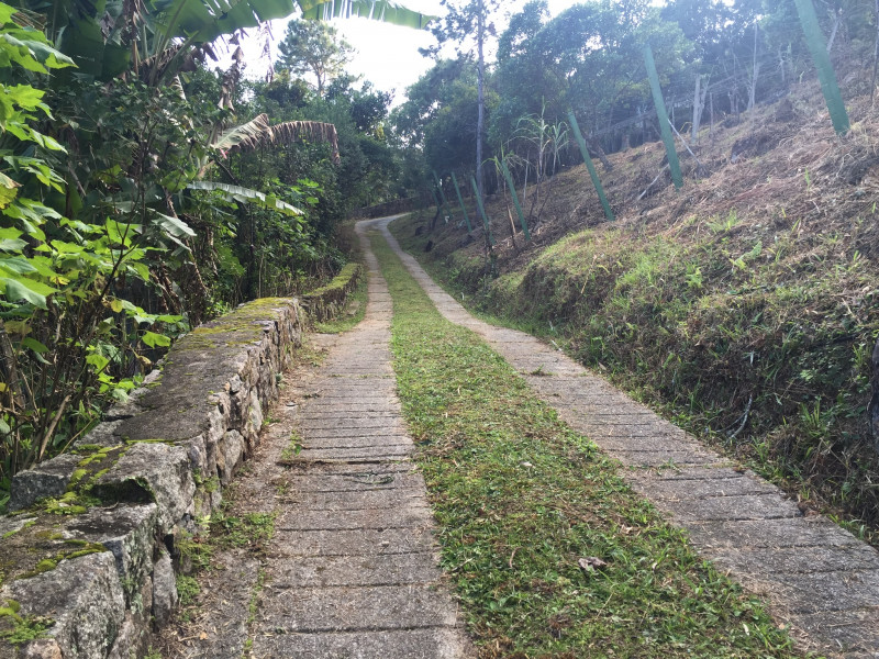 Terreno à venda Sambaqui com 27000m² e 1 quarto por R$ 4.900.000 - 2116035315-e918a91e-a4ab-402c-bfdf-5439b8fdf053.jpeg