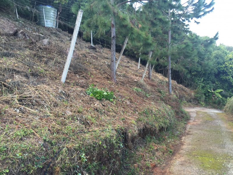Terreno à venda Sambaqui com 27000m² e 1 quarto por R$ 4.900.000 - 549280712-33aff8f1-2fc8-42fa-a5ae-0d5ac7e85a83.jpeg