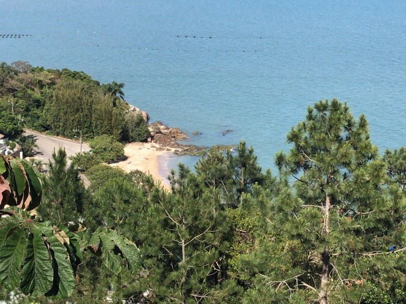 Terreno à venda Sambaqui com 27000m² e 1 quarto por R$ 4.900.000 - 560123165-da2b3d00-4851-40c5-be1f-075802d24316.jpeg
