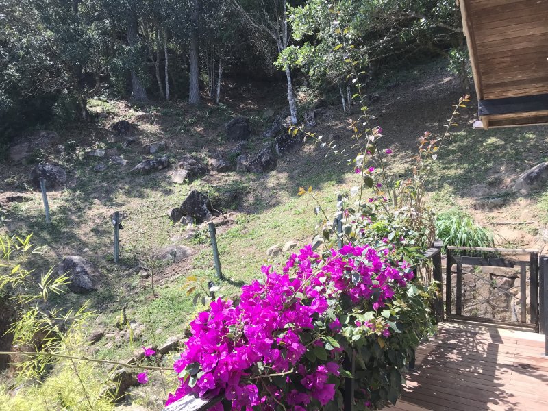 Terreno à venda Sambaqui com 27000m² e 1 quarto por R$ 4.900.000 - 641003564-716c9449-11c4-462e-a0cc-969c105d342f.jpeg