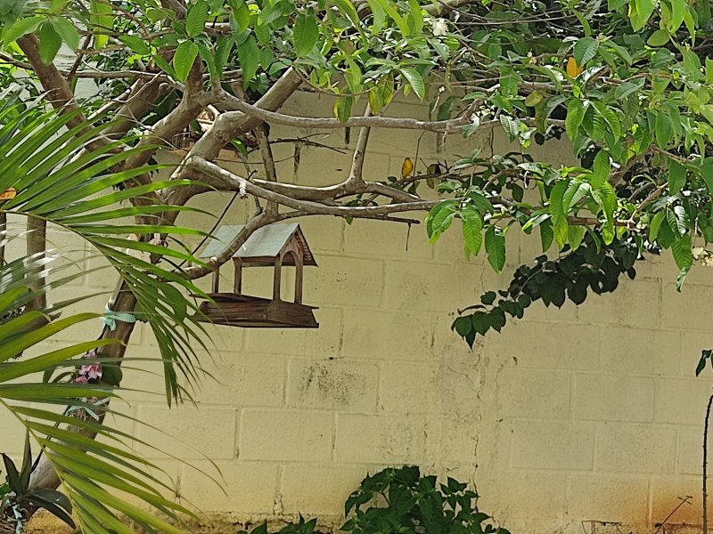 Casa à venda quintas coloniais com 450m² e 4 quartos por R$ 1.280.000 - 1424861359-inbound769784010207493783.jpg