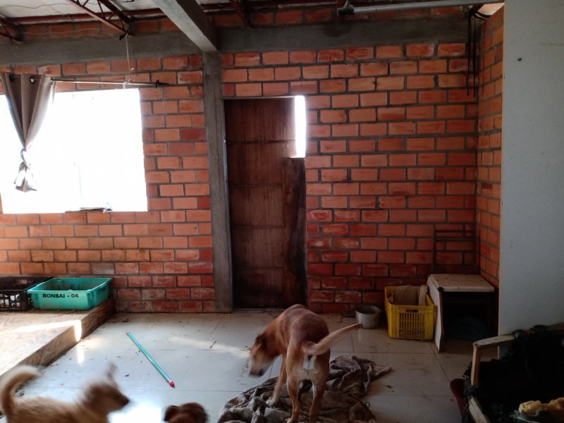 Casa à venda Bela Vista com 320m² e 3 quartos por R$ 200.000 - 2140325965-quarto-2o.jpg