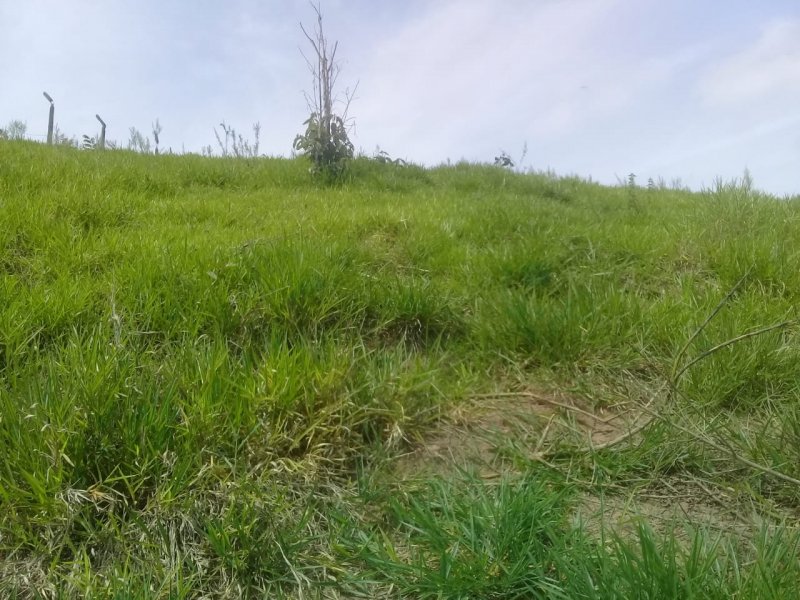 Terreno à venda Chácaras Copaco com 2300m² e 1 quarto por R$ 219.000 - 1144762492-img-20211108-wa0137.jpg