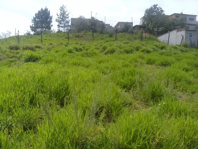 Terreno à venda Chácaras Copaco com 2300m² e 1 quarto por R$ 219.000 - 1221609649-img-20211108-wa0142.jpg