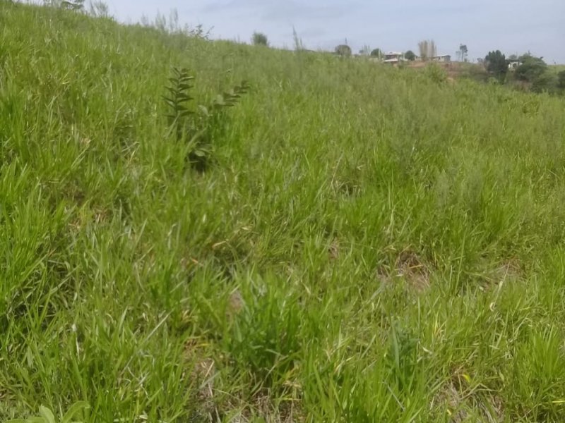 Terreno à venda Chácaras Copaco com 2300m² e 1 quarto por R$ 219.000 - 122540291-img-20211108-wa0146.jpg