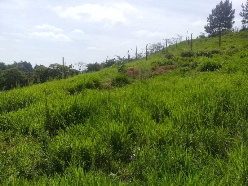 Terreno à venda Chácaras Copaco com 2300m² e 1 quarto por R$ 219.000 - 1702124302-img-20211108-wa0143.jpg