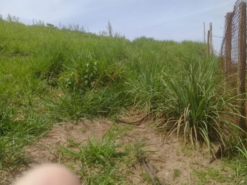 Terreno à venda Chácaras Copaco com 2300m² e 1 quarto por R$ 219.000 - 2084911289-img-20211108-wa0144.jpg