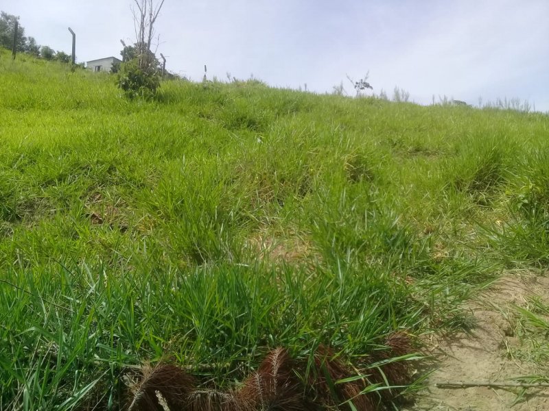 Terreno à venda Chácaras Copaco com 2300m² e 1 quarto por R$ 219.000 - 473965882-img-20211108-wa0145.jpg