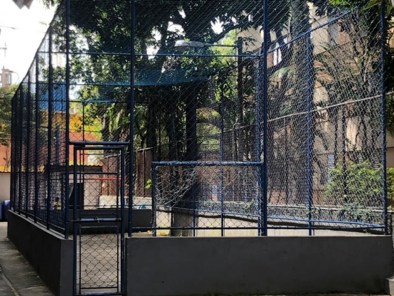 Apartamento à venda Guapira com 75m² e 3 quartos por R$ 320.000 - 609116863-24-quadra.jpeg