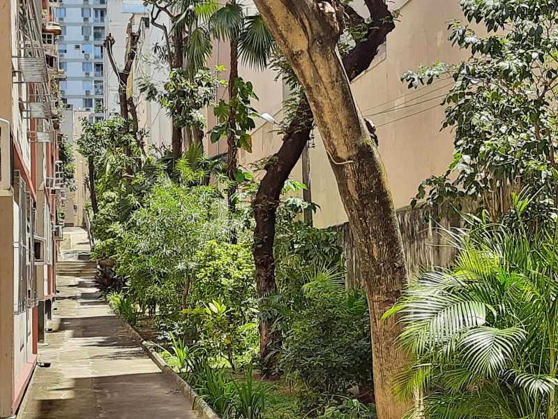 Apartamento à venda Tijuca com 45m² e 2 quartos por R$ 395.000 - 355605721-20211023-121528.jpg