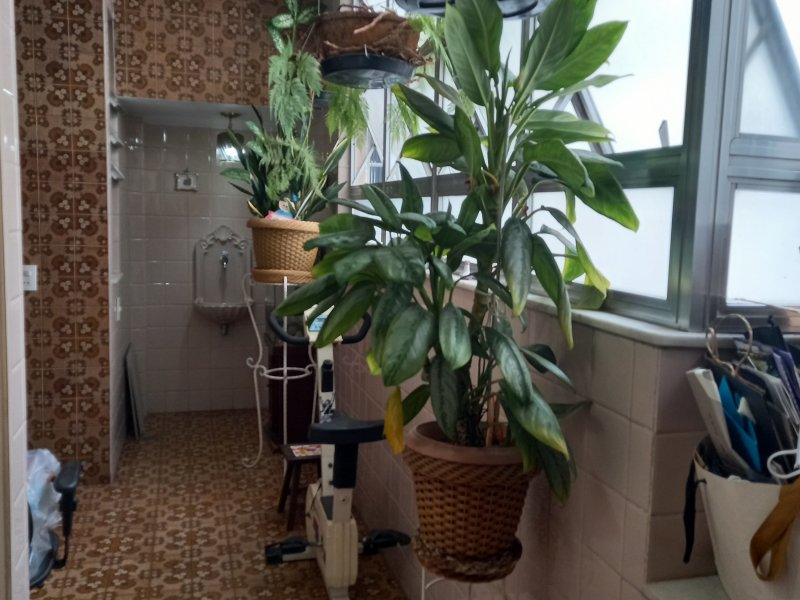 imóvel com 194m² - Icaraí - Niterói
