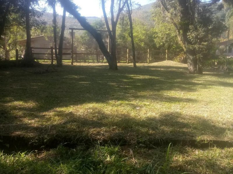 Terreno à venda Centro com 600m² e 1 quarto por R$ 85.000 - 1131865374-2411627496.jpg
