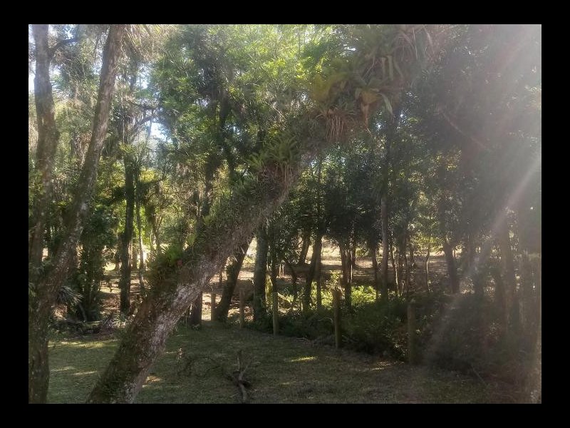 Terreno à venda Centro com 600m² e 1 quarto por R$ 85.000 - 1175303233-2411627497.jpg