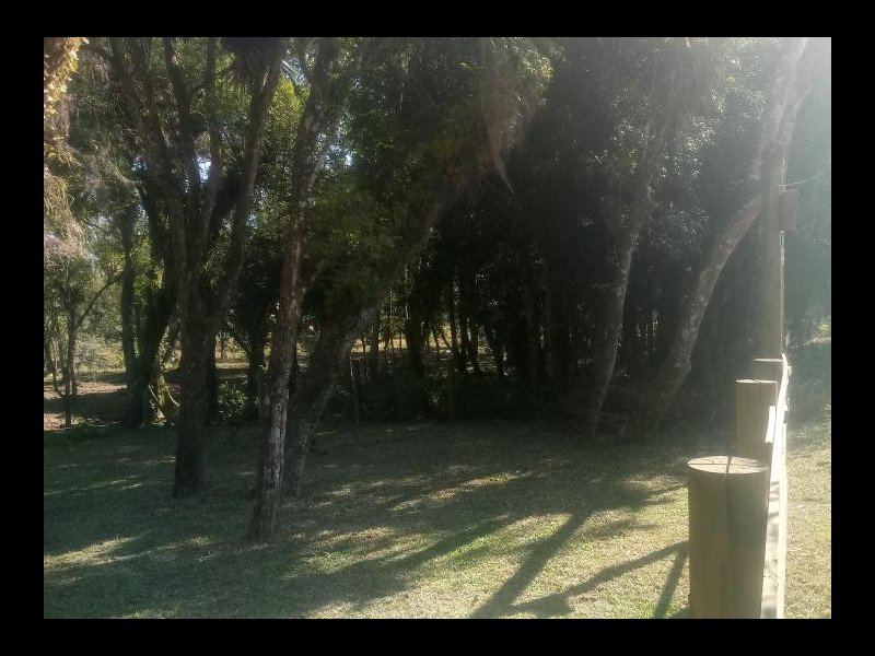 Terreno à venda Centro com 600m² e 1 quarto por R$ 85.000 - 1234198063-2411627493.jpg