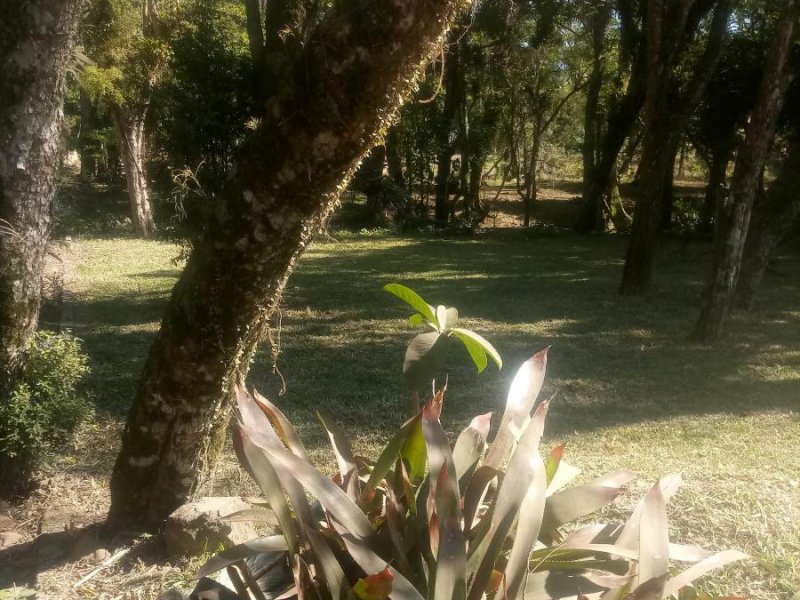 Terreno à venda Centro com 600m² e 1 quarto por R$ 85.000 - 707383175-2411627492.jpg