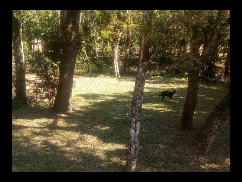 Terreno à venda Centro com 600m² e 1 quarto por R$ 85.000 - 95825494-2411627498.jpg