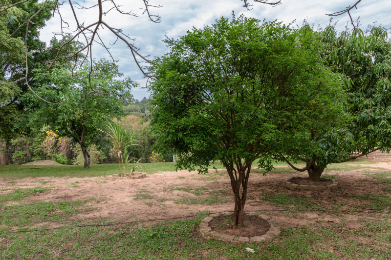 Chácara à venda Parque Santa Isabel com 10918m² e 4 quartos por R$ 1.930.000 - 1617337350-fotos-chacara-203.jpg