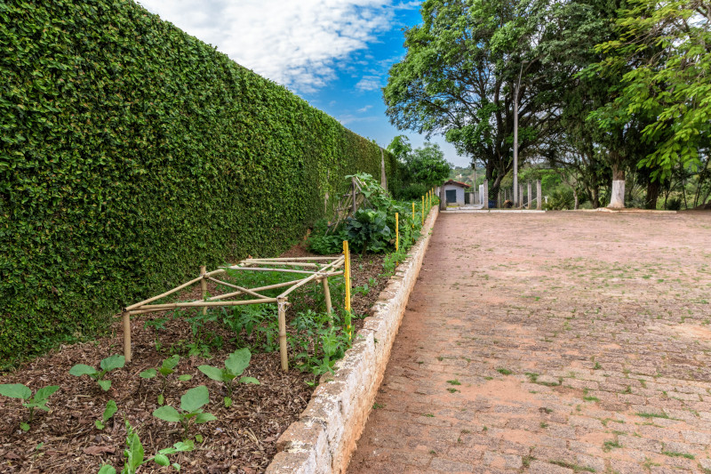 Chácara à venda Parque Santa Isabel com 10918m² e 4 quartos por R$ 1.930.000 - 768128378-fotos-chacara-198.jpg