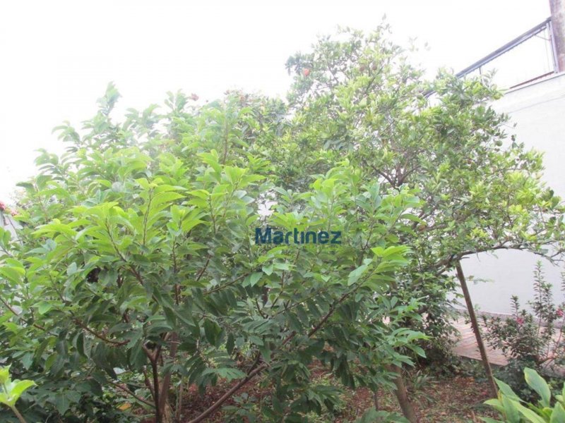 Casa à venda Vila Bancária com 550m² e 3 quartos por R$ 1.200.000 - 524329978-casa-mae-34.jpg