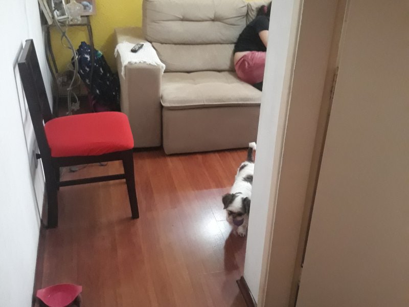 Apartamento à venda Chácara Inglesa com 54m² e 2 quartos por R$ 460.000 - 1938518398-20210903-144632.jpg