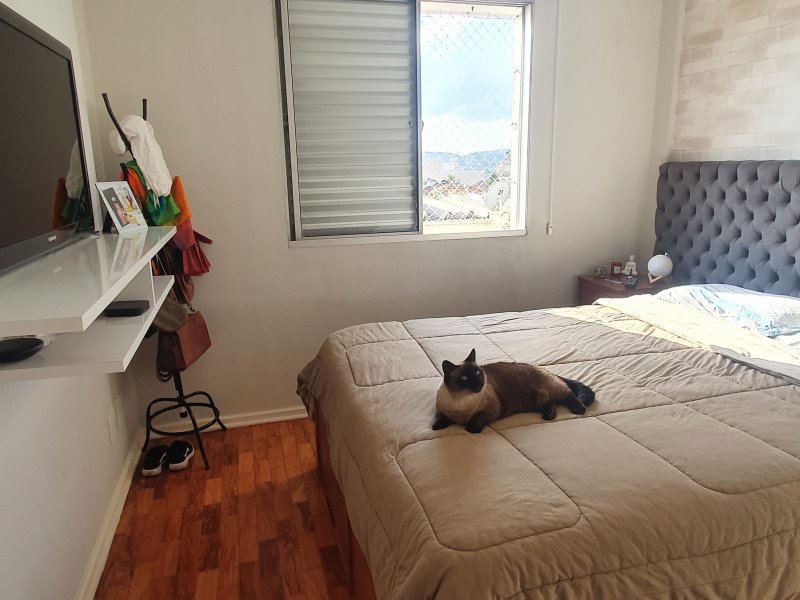 imóvel com 60m² - Alto da Lapa - São Paulo