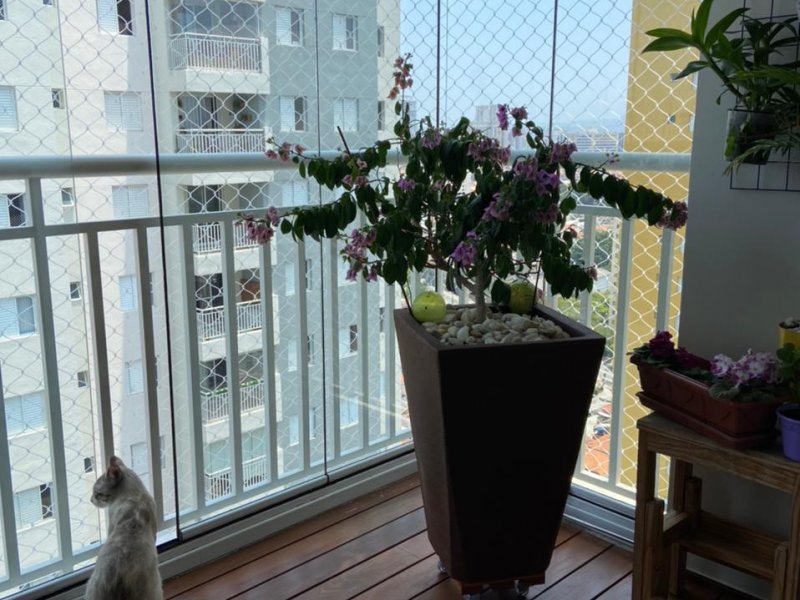 Apartamento à venda Maranhão com 69m² e 3 quartos por R$ 550.000 - 2058027432-10.jpeg