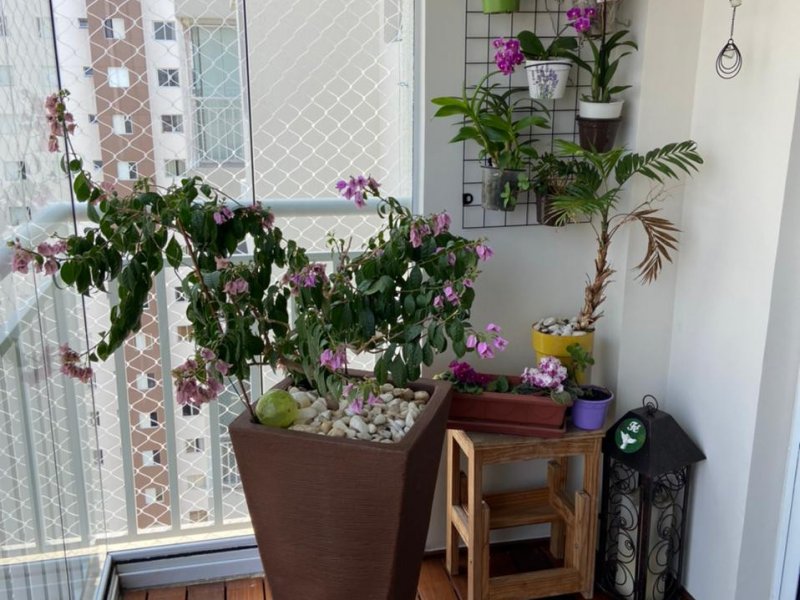 Apartamento à venda Maranhão com 69m² e 3 quartos por R$ 550.000 - 725814726-11.jpeg